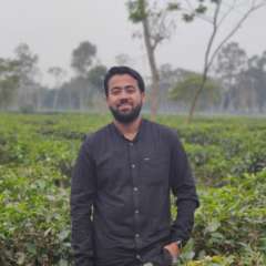 Mohammad Ashfaqul Islam